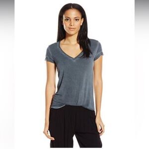 PAIGE Women's Charlie T-Shirt in Vintage Slate